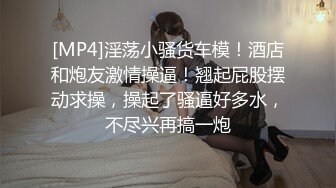 探花郎李寻欢再约高颜值性感嗲嗲妹子盘啪啪，穿上情趣装黑丝扭动特写口交后入猛操