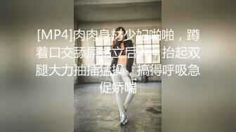 草骚货女神哇哇叫第二部