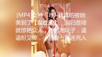 国产AV 肉肉传媒 RR003 空降女优 李蓉蓉