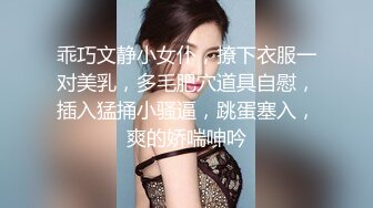 乖巧文静小女仆，撩下衣服一对美乳，多毛肥穴道具自慰，插入猛捅小骚逼，跳蛋塞入，爽的娇喘呻吟