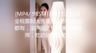 [2DF2] 平安夜激战小钢炮 战况激烈 惨叫不止却露出微笑[MP4/58MB][BT种子]