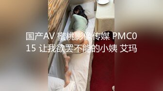 国产麻豆AV 麻豆女神微爱影片 窈窕姿色 旗袍诱惑 韩依人