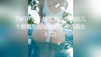 TWTP 游乐场女厕全景偷拍几个撅着屁股嘘嘘的高颜值美女4 (2)