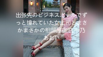 出张先のビジネスホテルでずっと憧れていた女上司とまさかまさかの相部屋宿泊 一乃あおい