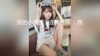 MDX-0153视讯会议的打扰-沈娜娜