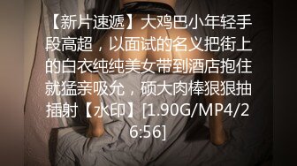 教你看谜片封面 让你成为专业老司机～终电逃 绝顶 高飞车