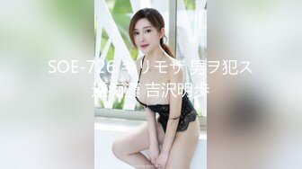 爱豆传媒 id-5276 载客顺风车老婆失身被卖人财两空-琳怡