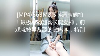 涩会传媒 SH-011 老板无法满足的寂寞少妇 看上了新来的大学生