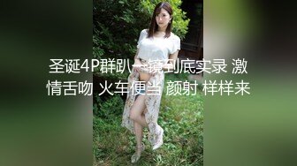 圣诞4P群趴一镜到底实录 激情舌吻 火车便当 颜射 样样来