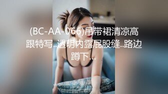 [HD/0.4G] 2023-03-10 RAS-243女優大挑戰插入小穴猜對男優就做愛