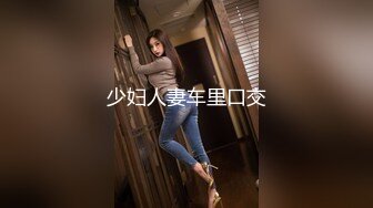 少妇人妻车里口交