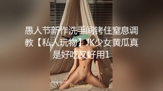 酒吧偶遇性感女神喝了两杯带回家猛操MD0026