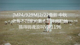 [MP4/929M]2/22最新 中秋老哥不回家约富态姐开房把她搞得销魂浪叫VIP1196