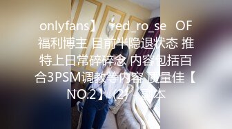 onlyfans】⭐red_ro_se⭐OF福利博主 目前半隐退状态 推特上日常碎碎念 内容包括百合3PSM调教等内容 质量佳【NO.2】 (2) - 副本