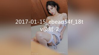 订制版母狗2