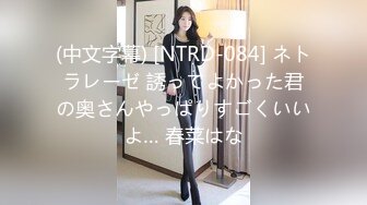 (中文字幕) [NTRD-084] ネトラレーゼ 誘ってよかった君の奥さんやっぱりすごくいいよ… 春菜はな