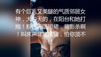 我的大胸前女友2