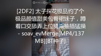 继续网调母狗，依旧用笔玩