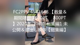 麻豆传媒 MDSR-0006-2《小凤新婚》下集-高冷新妻性奴调教