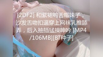 骚老婆的哔哔