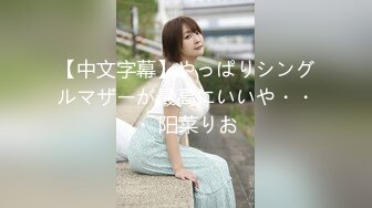 【中文字幕】やっぱりシングルマザーが最高にいいや・・・ 阳菜りお