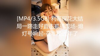 [MP4/3.5GB] 利哥探花大结局一路走好直击抓捕现场-熄灯号响起-在牢里过年了